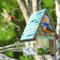 Bluebird House Durable Natural Wood Nesting 3