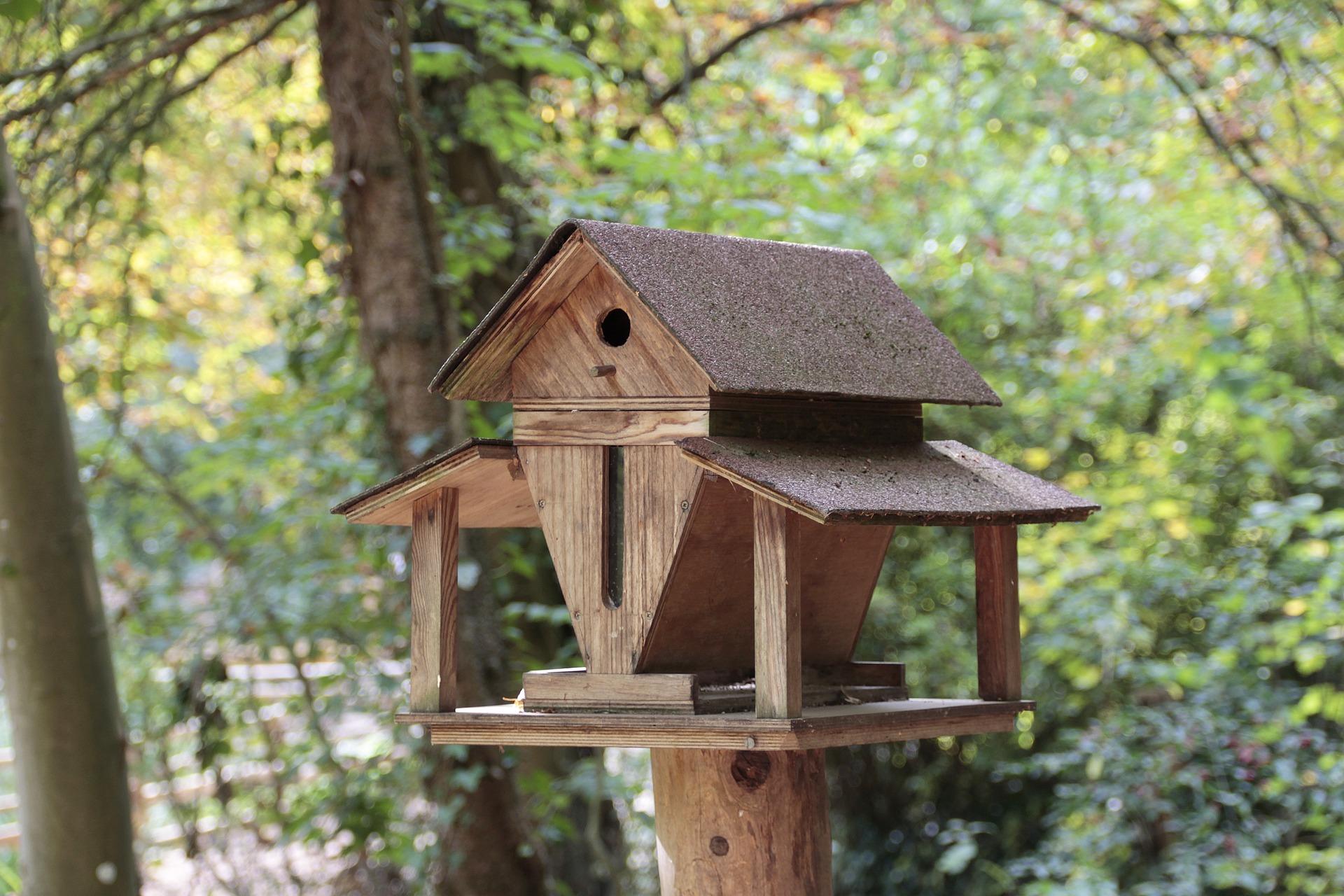 Discover DIY Ideas for Elegant Bird Houses 2