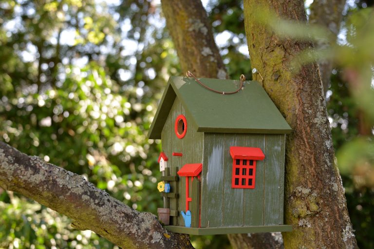 Discover DIY Ideas for Elegant Bird Houses