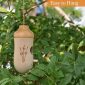 Outdoor Garden Natural Wooden Hummingbird Bird House 2