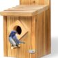 Sturdy Waterproof Birdhouse with Durable Design
