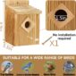 Sturdy Waterproof Birdhouse with Durable Design dimension