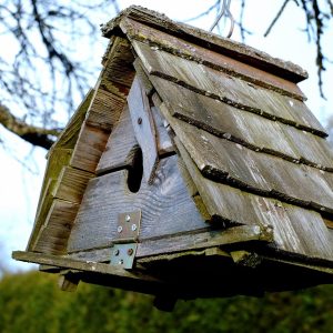 elegant bird house ideas DIY