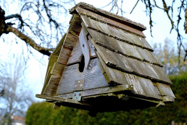 elegant bird house ideas DIY