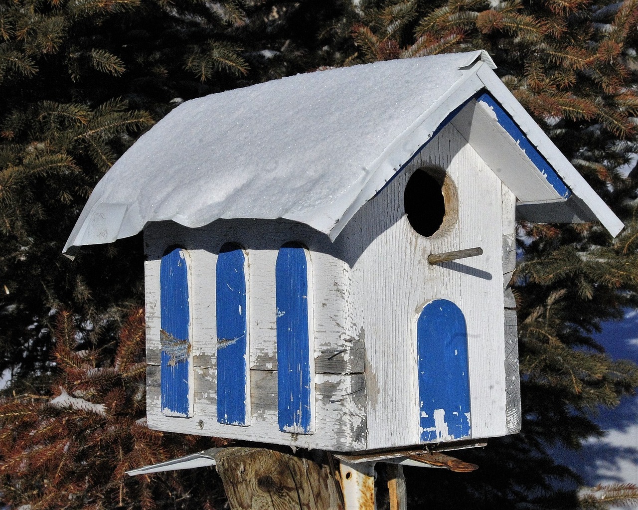 elegant bird house ideas for winter